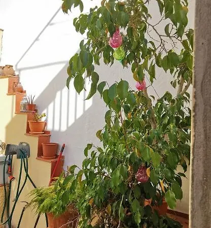 Casa Joaquin Las Palmas de Gran Canaria